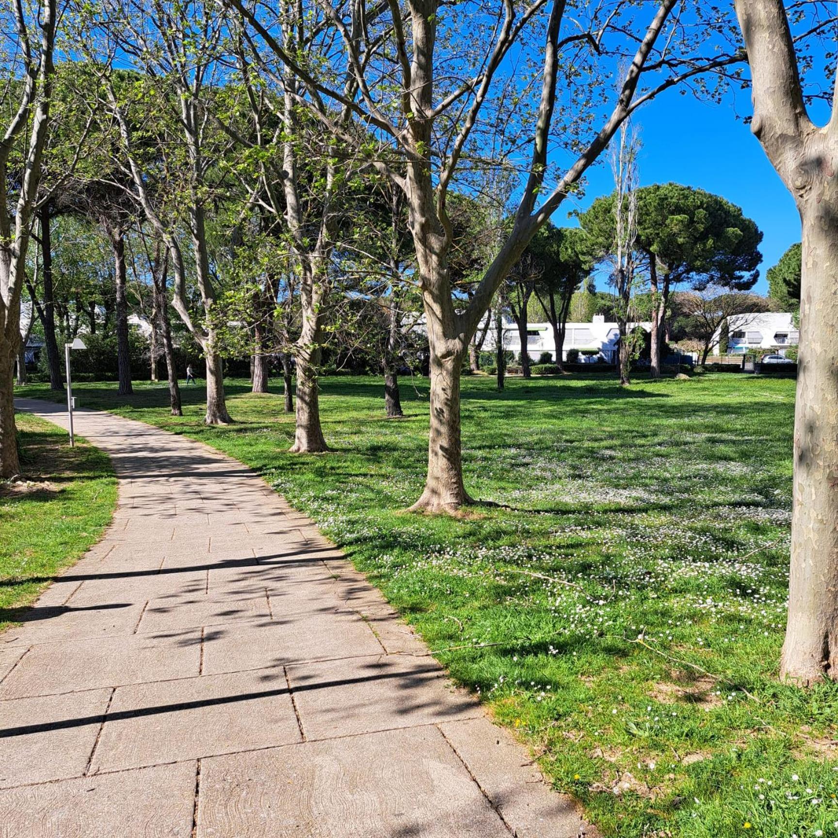 T2 West City Parking Clim Wifi 4Pers - Rossiconciergerie - Linge Inclus La Grande Motte Exterior photo